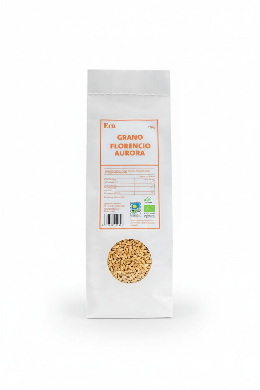 Grano Florencio Aurora <i>(Triticum aestivum)</i>