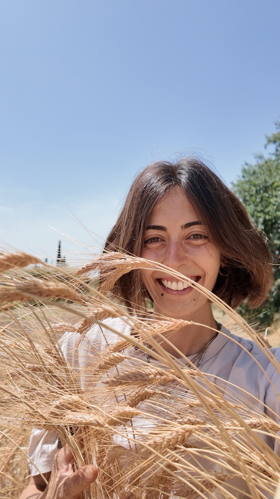Almudena, molinera de Era, en el campo de trigo